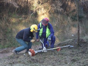 Treballadors forestals d'AFMA